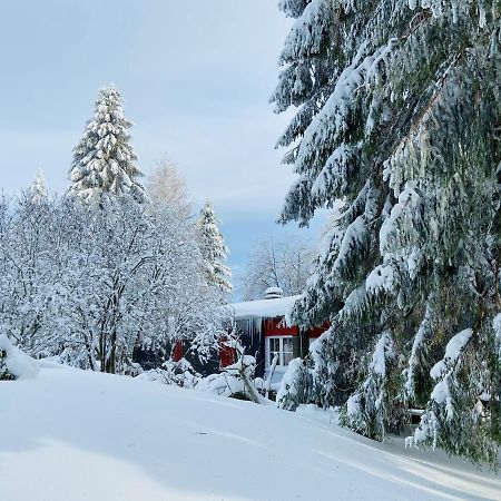 Baude Steinheid Am Rennsteig Mit 12 Betten Esterno foto