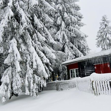 Baude Steinheid Am Rennsteig Mit 12 Betten Esterno foto